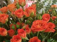 -桔梗花店·鲜花·气球布置(天元店)