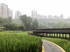 -龙头寺公园