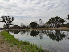 -良渚古城遗址公园