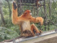 -哈尔滨北方森林动物园