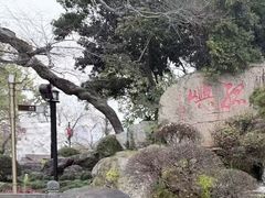 -江心屿景区