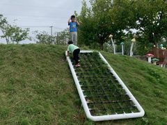 -前小桔亲子创意农场·草莓采摘·露营烧烤