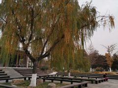 -绿堤公园