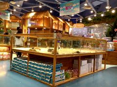 -龟与熊猫宠物公园(南坪店)