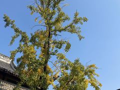 -龙华素斋(龙华路店)