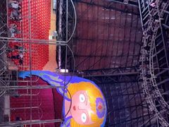 -俄罗斯国家大马戏团