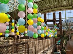 -杭州开元森泊度假乐园