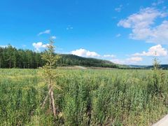 -北极村旅游风景区