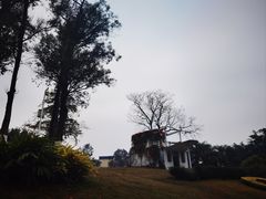 -广西壮族自治区药用植物园