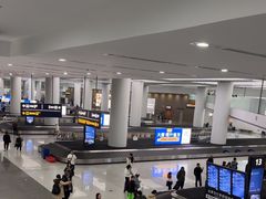 -青岛胶东国际机场
