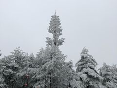 -广元曾家山国际滑雪场