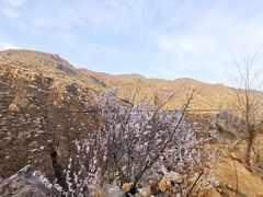 -妙峰山风景名胜区