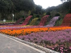 -广州市石门国家森林公园
