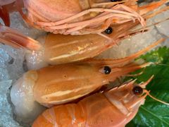 -Mr·Fish鱼鲜生海鲜放题(银泰in99店)