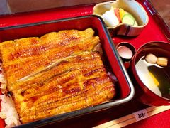 -料亭菊水楼