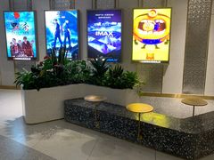 -大世界影城(无锡江南大悦城IMAX激光店)