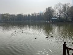-团结湖公园