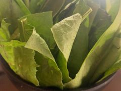 -探窝·竹笙椰子鸡(杨箕店)