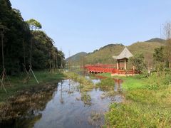 -广州市石门国家森林公园