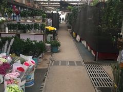 -秦美花卉(天朗·莱茵小城2期店)