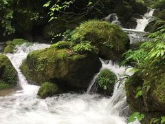 -神龙峡风景区