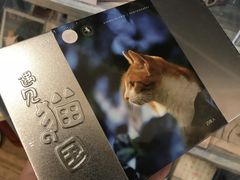 -猫的天空之城概念书店(印象城购物中心店)