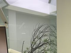 -极简口腔(总院)