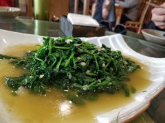 豌豆尖-石磨豆花家常菜·牦牛排土火锅