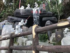 -云顶高原