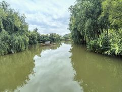-月亮湾湿地公园