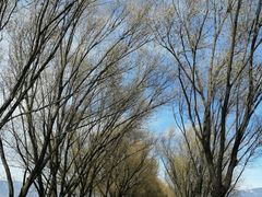 -野鸭湖国家湿地公园