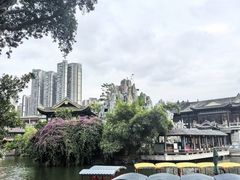 -荔湾湖公园