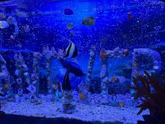 -太平洋海底世界