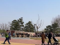 -东郊湿地公园