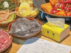 -阳阳老火锅(小南门店)