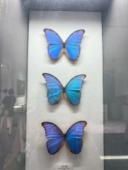 -酷嗒动物文化乐园(cutezoo西溪乐天城店)