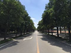 -曲阜师范大学(曲阜校区)