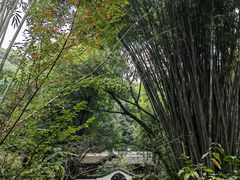 -成都杜甫草堂博物馆