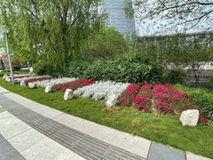 -西湖文化广场