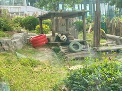 -大连森林动物园