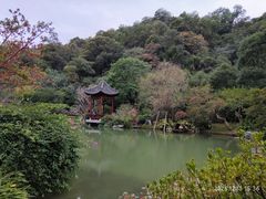 -云溪植物园