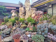 -山菌美食苑(振兴路店)