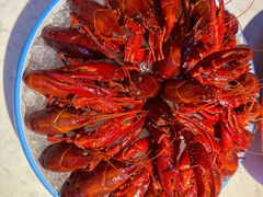-舞虾小说.涮肉.烧烤(国顺东路店)