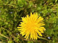 -白帝城·瞿塘峡景区