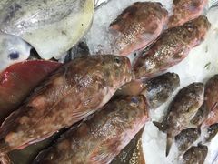 丰收渔港饭店-丰收渔港饭店(嵊泗店)