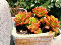 -南京市江宁方山