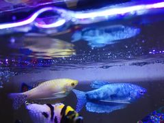 -七宝蔬菜农副产品综合交易市场-停车场