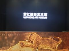 -罗红摄影艺术馆