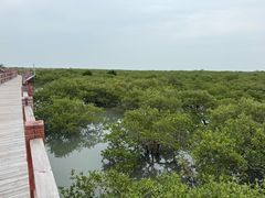 -北海金海湾红树林生态旅游区