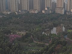 -龙头寺公园
